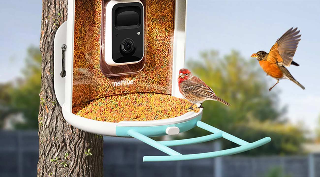 Netvue Birdfy Review: The Ai Recognition Bird Feeder With Camera